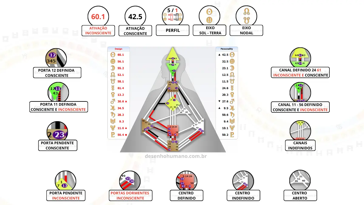 Entenda o que ´Desenho Humano em um gráfico ilustrativo com as informações básicas do Human Design no Brasil